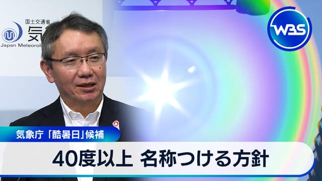 40度以上に名称をつける方針で気象庁が酷暑日を候補に