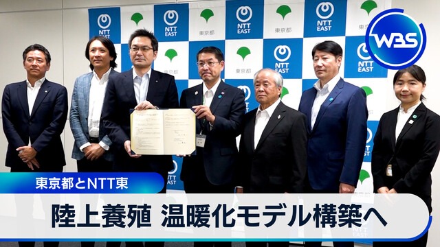 陸上養殖 構建暖化模型 東京都與NTT東合作