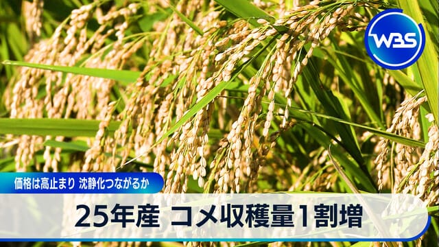 25年產米收穫量增一成 價格持續高位 是否有助於平息