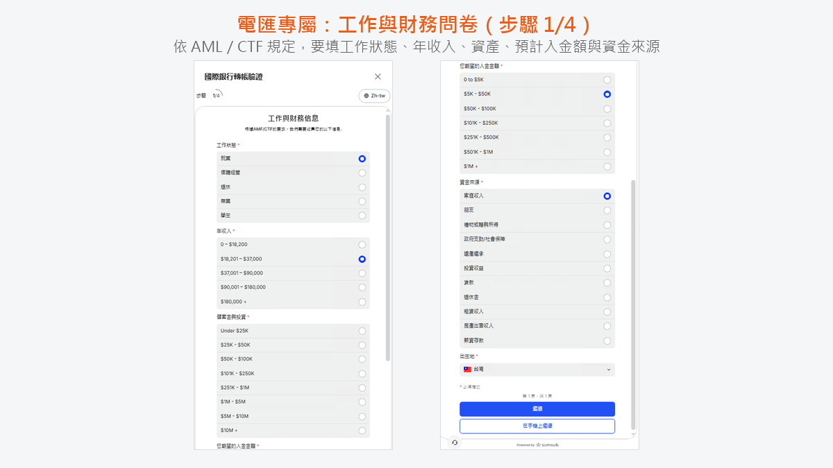 Ultima Markets 電匯驗證的工作與財務問卷